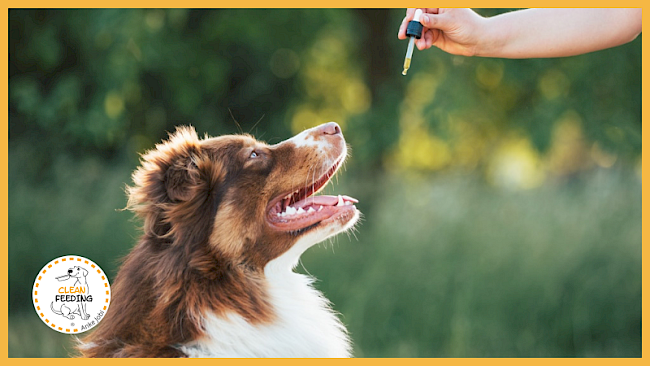 Lektion 3 - Vitamin D