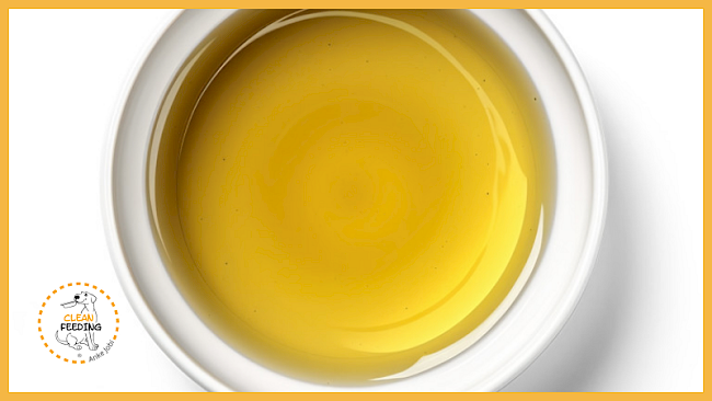 Lektion 4 - Essentielle Fettsäuren