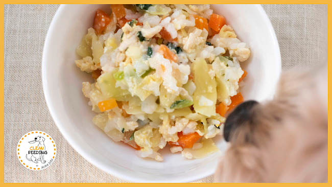 Lektion 2 - Vitamin B 12