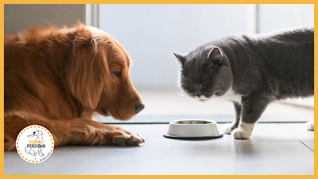 Lektion 3 - L-Carnitin und Taurin