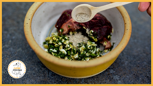 Lektion 4 - Komplettergänzungen