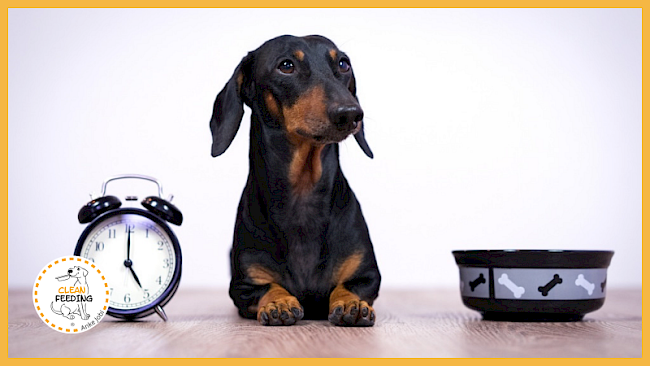 Lektion 1 - Fütterungspraxis