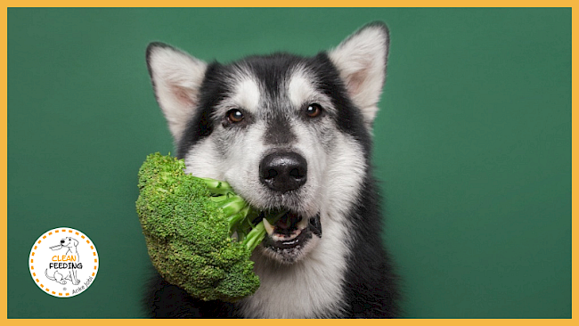 Lektion 4 - Gemüse und Obst