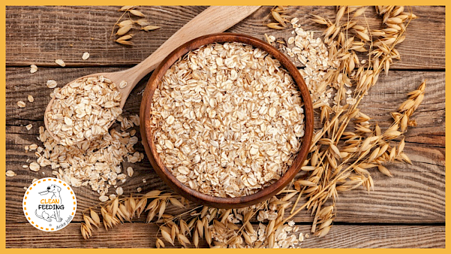 Lektion 5 - Getreide und Co