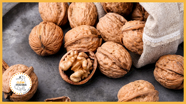 Lektion 6 - Nüsse und Samen