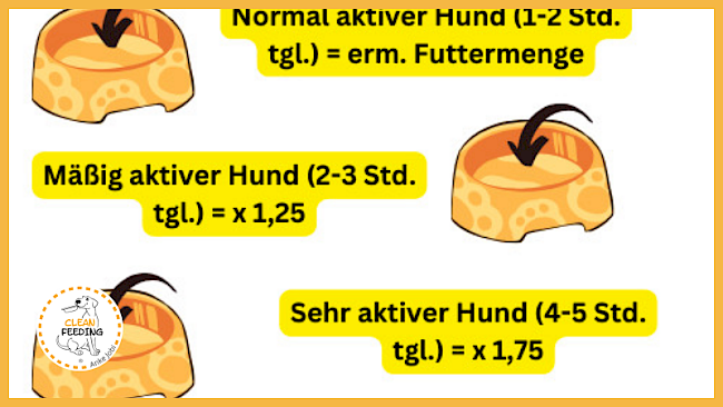 Lektion 1 - Futtermenge berechnen