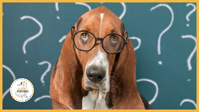 Lektion 3 - Proteinbedarf und Energiebedarf berechnen