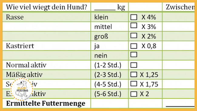 Lektion 2 - Vorlagen