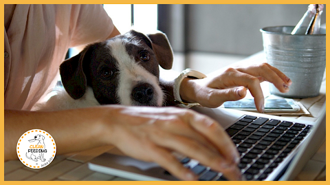 Lektion 3 - Teilnahmebescheinigung anfordern