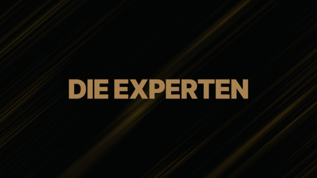 Die Experten
