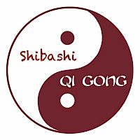 Qigong Shibashi 1