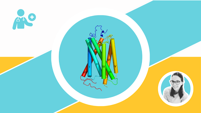 Hormonrezeptoren & Signaltransduktion