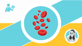 Blut und Hormone