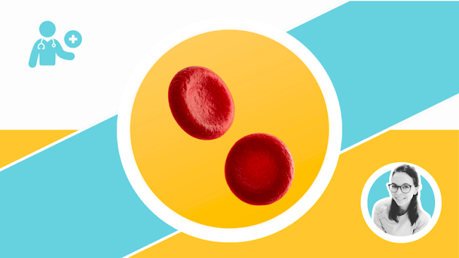 Erythrozyten & Co – Struktur und Funktion der Blutbestandteile