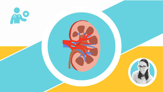Transplantationen