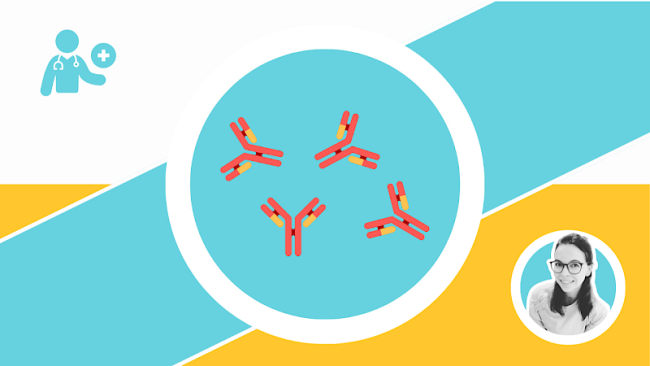 Das adaptive Immunsystem