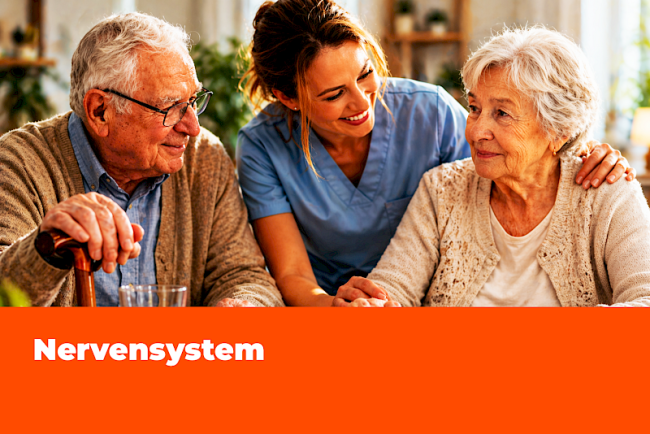 Nervensystem