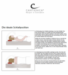 Lernen im Schlaf