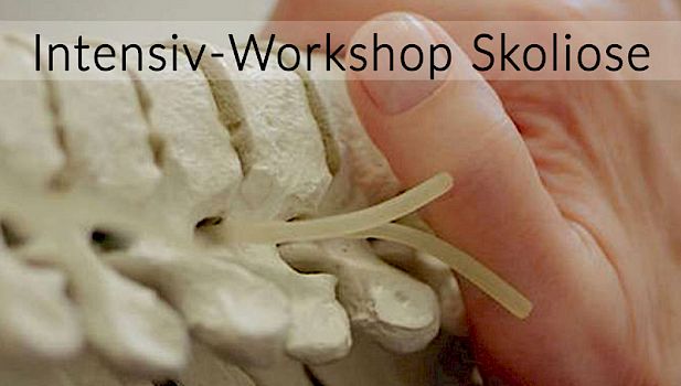 Workshop Skoliose 11-26