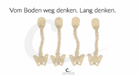 Illustrationen & Notizen
