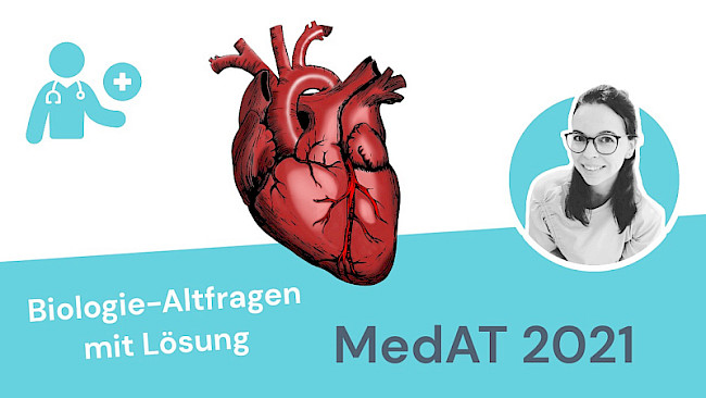 Altfragen Biologie 2021