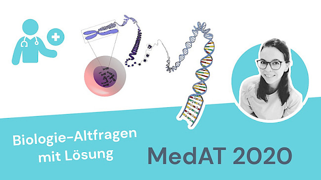 Altfragen Biologie 2020