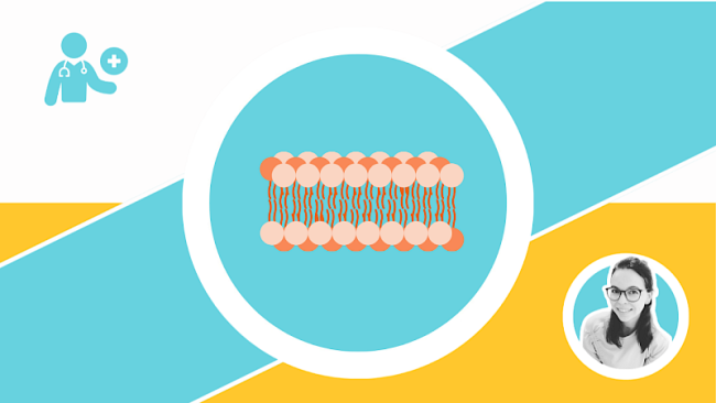 Membranphysiologie