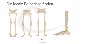 Tag 4 Beweglichkeit in allen Gelenken - Kopie