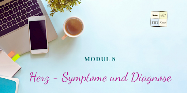 Symptome und Diagnose