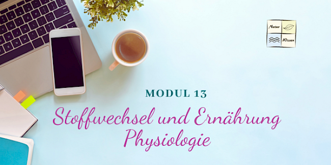 Physiologie