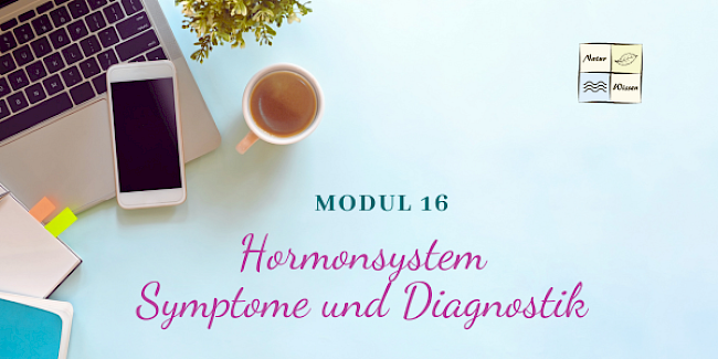 Symptome und Diagnostik