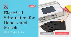 Electrical Stimulation for Denervated Muscles Anatomical Concepts and Dr. Schuhfried Medizintechnik