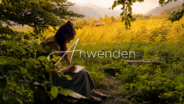 🌿 Anwenden