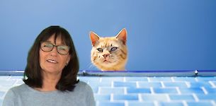 Schön, dass du die Zügel in die Hand nimmst