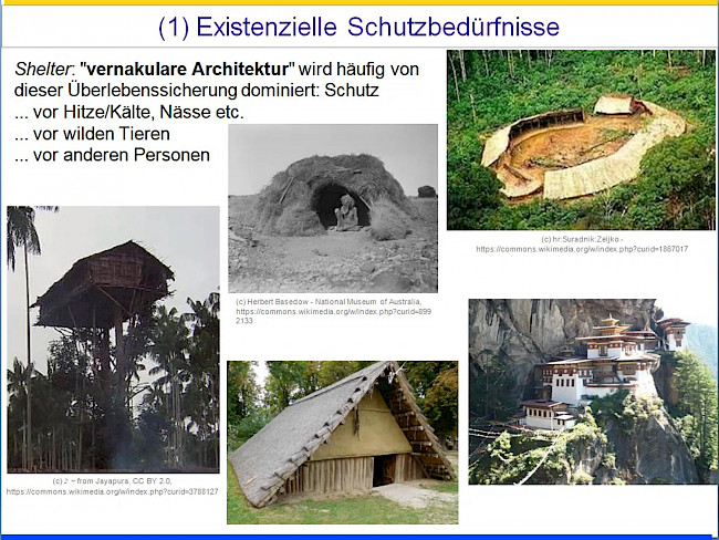 L10 Schutzbedürfnisse 1 - vitaler, existentieller und sensorischer Schutz