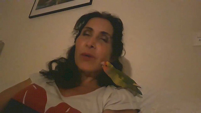 20. Tag Geld und Wohlstand_Übung Geldbaum