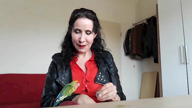 34. Tag besser entscheiden_Übung Münze