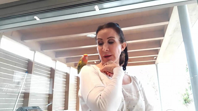 62. Tag Konzentration_Übung Rückwärtszählen Zweierschritte