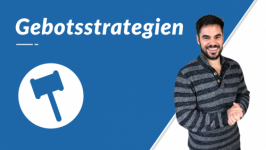 Gebotsstrategien