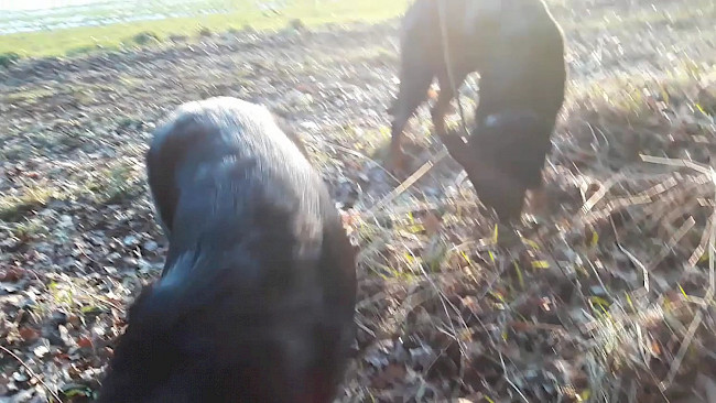 96. Tag Geschichte "im Hier und Jetzt"_Der weise Mönch