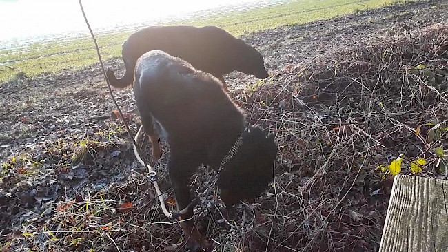 96. Tag Geschichte "im Hier und Jetzt"_Der weise Mönch