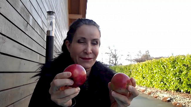 98. Tag Tipp zum ab- oder zunehmen_Teller