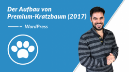 Der Aufbau von Premium-Kratzbaum (2017)