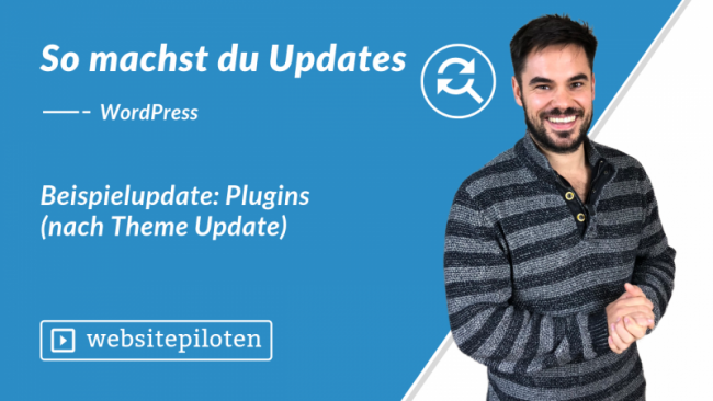 Beispielupdates: Plugins (nach Theme Update)