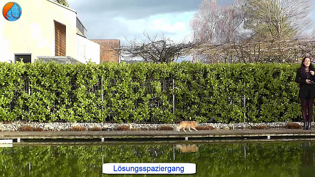 113. Tag Teilziele erarbeiten_Lösungsspaziergang