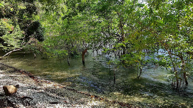 127. Tag Regeneration von Körper, Geist und Seele_Übung Esdailzustand