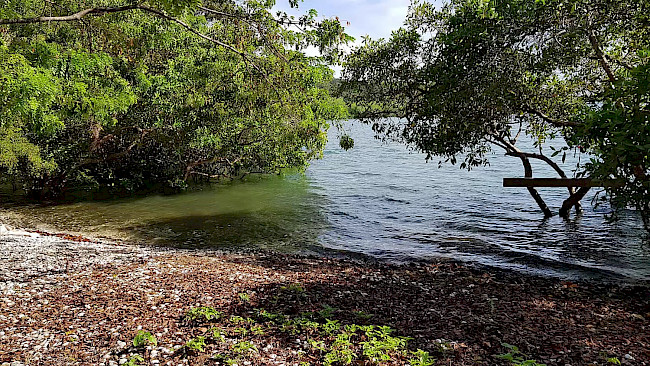 127. Tag Regeneration von Körper, Geist und Seele_Übung Esdailzustand