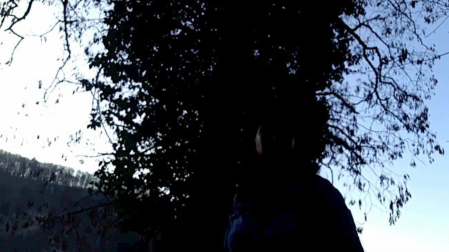 129. Tag Lebensenergie_Baum umarmen