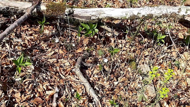 130. Tag Achtsamkeit_Fokusveränderung