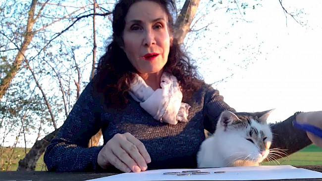 140. Tag Andere Sichtweise_Aufstellungsarbeit